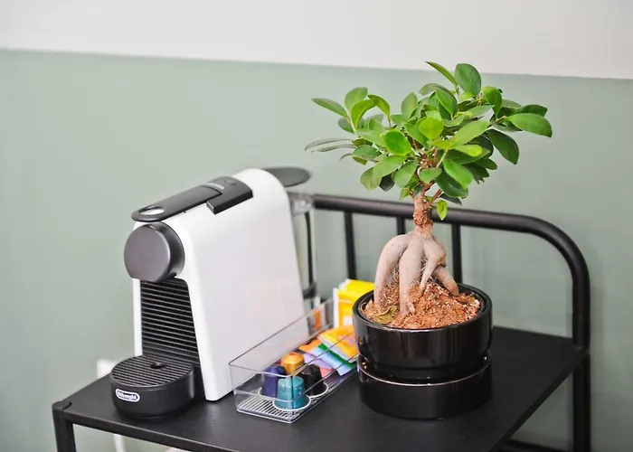 Appartement Pop The Cork In By Misha's Place 5b