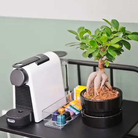 דירה Pop The Cork In By Misha's Place 5b